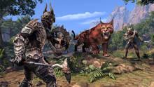 Imagen 22 de The Elder Scrolls Online: Elsweyr