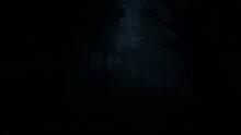 Imagen 6 de Nerved