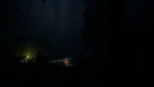 Imagen 7 de Nerved
