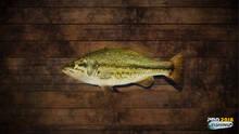 Imagen 13 de PRO FISHING 2018
