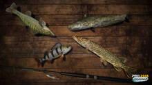 Imagen 3 de Professional Fishing