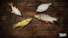 Imagen 7 de Professional Fishing