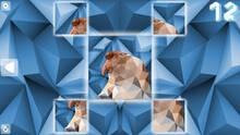 Imagen 3 de Poly Puzzle: Primates