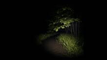Imagen 11 de Slenderman: Shadow of the Forest