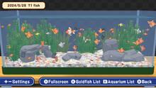 Imagen 5 de Scoop it! Goldfish