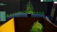 Imagen 20 de WEED SHOP SIMULATOR
