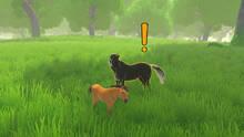 Imagen 2 de Spirit Horse Simulator