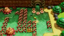 Imagen 5 de The Legend of Zelda: Link's Awakening