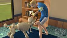 Imagen 84 de Los Sims 2 Mascotas