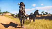Imagen 24 de Planet Zoo