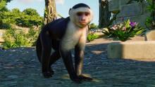 Imagen 70 de Planet Zoo