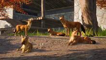 Imagen 110 de Planet Zoo