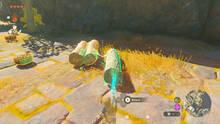 Imagen 119 de The Legend of Zelda: Tears of the Kingdom