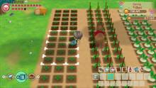 Imagen 37 de Story of Seasons: Friends of Mineral Town