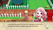 Imagen 29 de Story of Seasons: Friends of Mineral Town