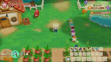 Imagen 32 de Story of Seasons: Friends of Mineral Town
