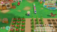 Imagen 44 de Story of Seasons: Friends of Mineral Town