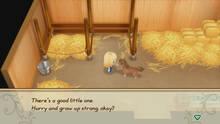 Imagen 59 de Story of Seasons: Friends of Mineral Town