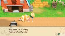 Imagen 61 de Story of Seasons: Friends of Mineral Town