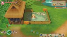 Imagen 53 de Story of Seasons: Friends of Mineral Town