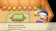 Imagen 55 de Story of Seasons: Friends of Mineral Town