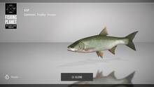 Imagen 66 de Fishing Planet