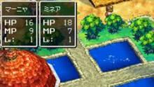 Imagen 15 de Dragon Quest: The Chapters of the Chosen