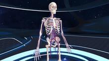 Imagen 7 de Human Anatomy VR