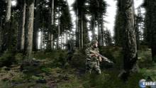 Imagen 38 de ArmA II