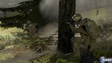 Imagen 52 de ArmA II