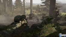 Imagen 51 de ArmA II