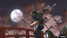 Imagen 28 de Ninja Gaiden 2
