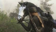 Imagen 146 de Red Dead Online