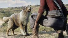 Imagen 244 de Red Dead Online