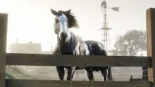 Imagen 296 de Red Dead Online