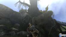 Imagen 16 de Monster Hunter Tri