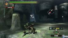 Imagen 53 de Monster Hunter Tri