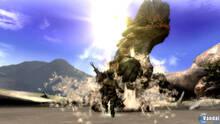 Imagen 78 de Monster Hunter Tri