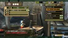 Imagen 164 de Monster Hunter Tri