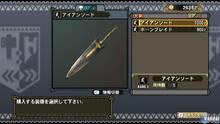 Imagen 163 de Monster Hunter Tri