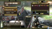 Imagen 122 de Monster Hunter Tri