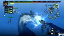 Imagen 98 de Monster Hunter Tri