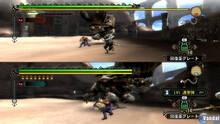 Imagen 96 de Monster Hunter Tri