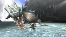 Imagen 231 de Monster Hunter Tri