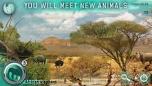Imagen 5 de Hidden Animals : Photo Hunt. Seek and Find Game