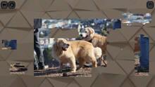 Imagen 6 de Puzzles for smart: Dogs