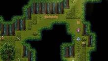 Imagen 5 de Saydi and the Ancient Forest