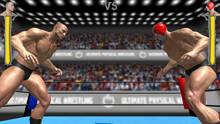 Imagen 6 de Ultimate Physical Wrestling