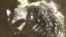Imagen 11 de The Last Guardian