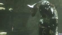 Imagen 14 de The Last Guardian